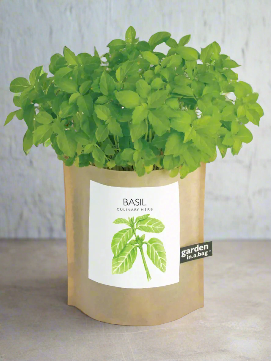 Garden in a Bag - Herbs