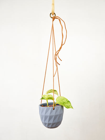 Virago Modern Hanging Planter- Grid