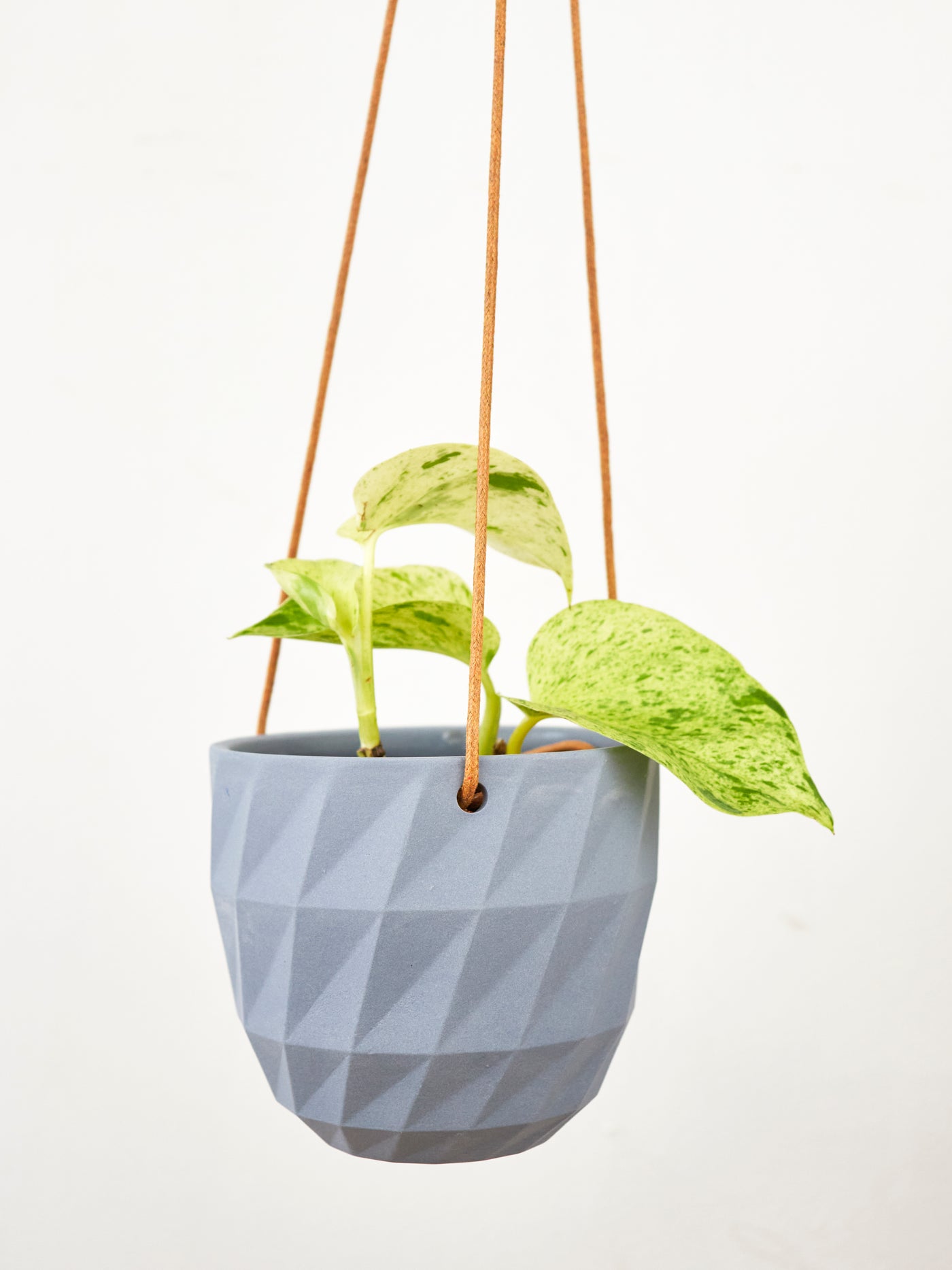 Virago Modern Hanging Planter- Grid