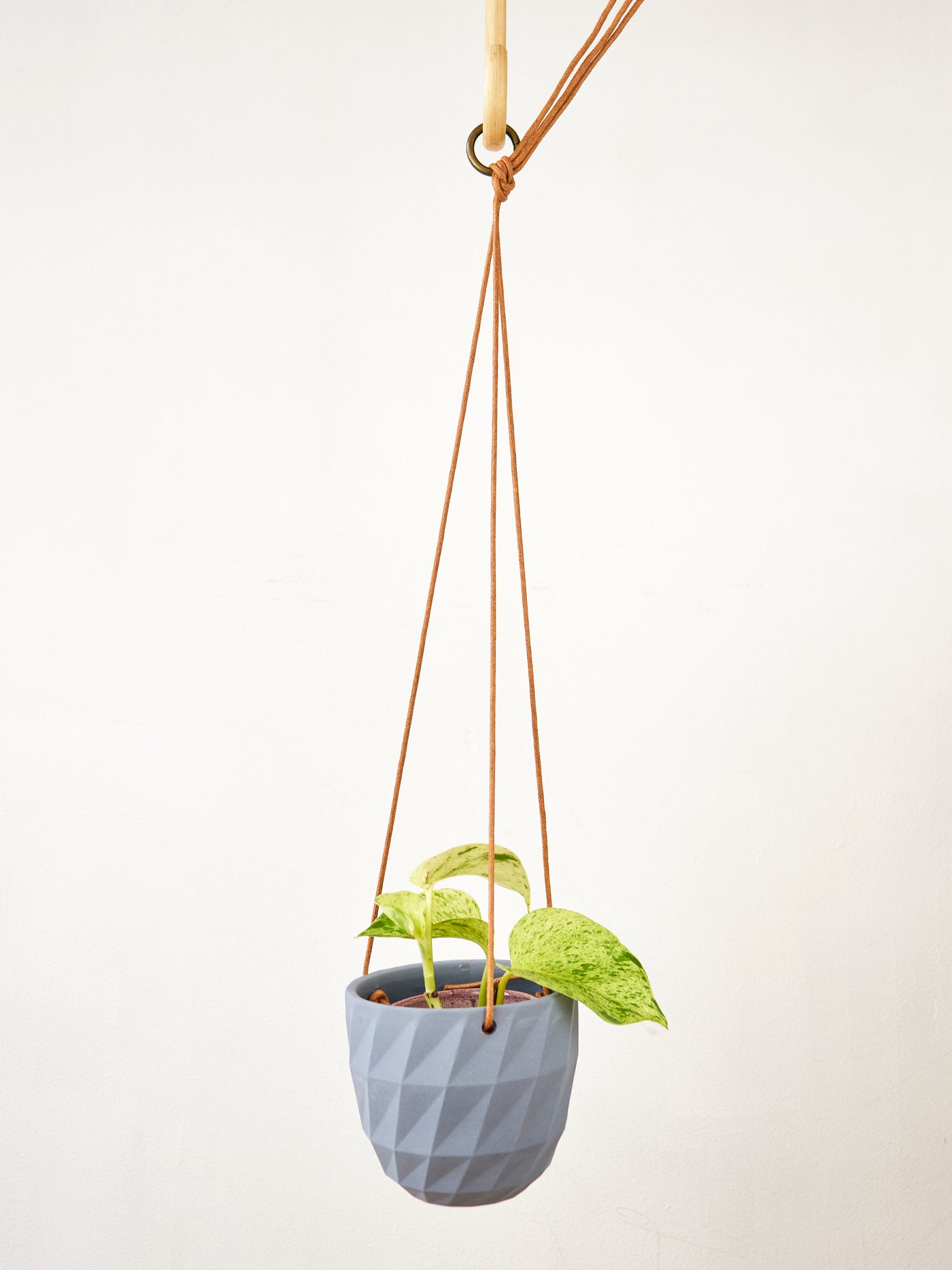 Virago Modern Hanging Planter- Grid