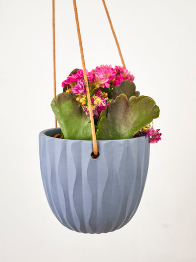 Virago Modern Hanging Planter- Waves