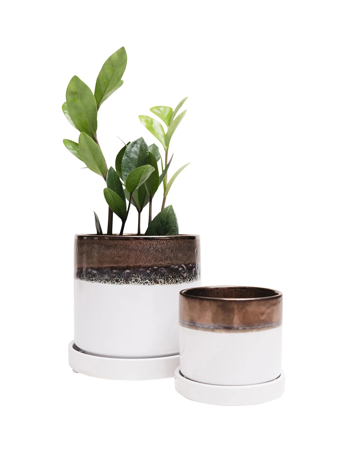 5" Ceramic Plant Pot and Saucer Set