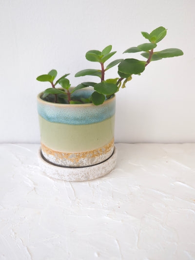 3" Ceramic Plant Pot and Saucer