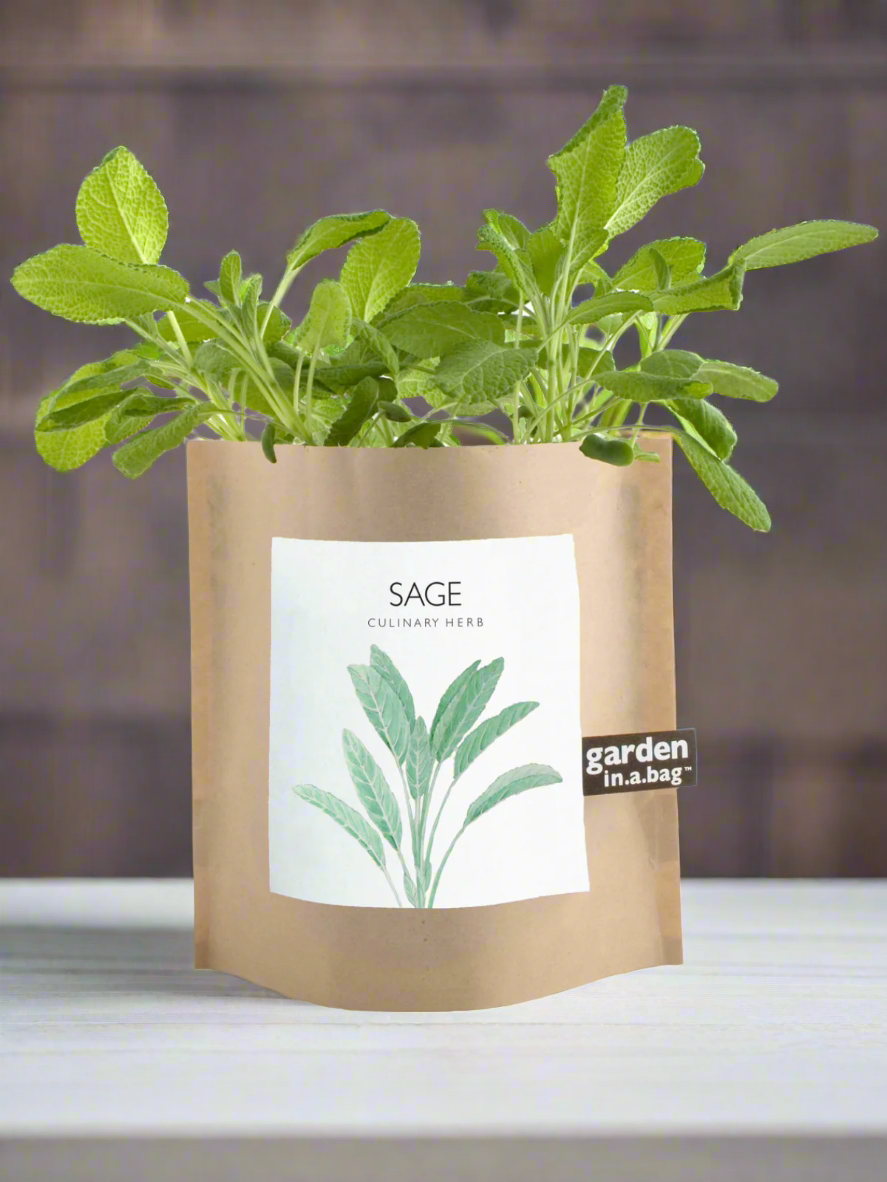 Garden in a Bag - Herbs