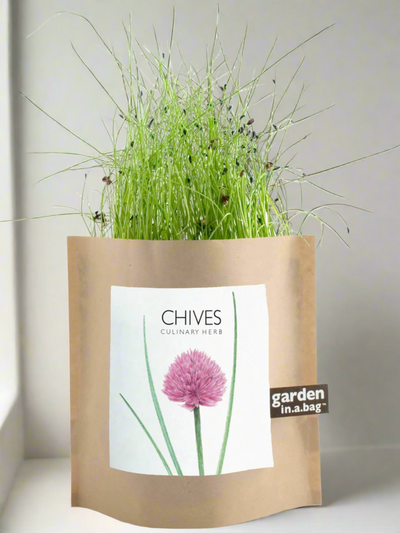 Garden in a Bag - Herbs