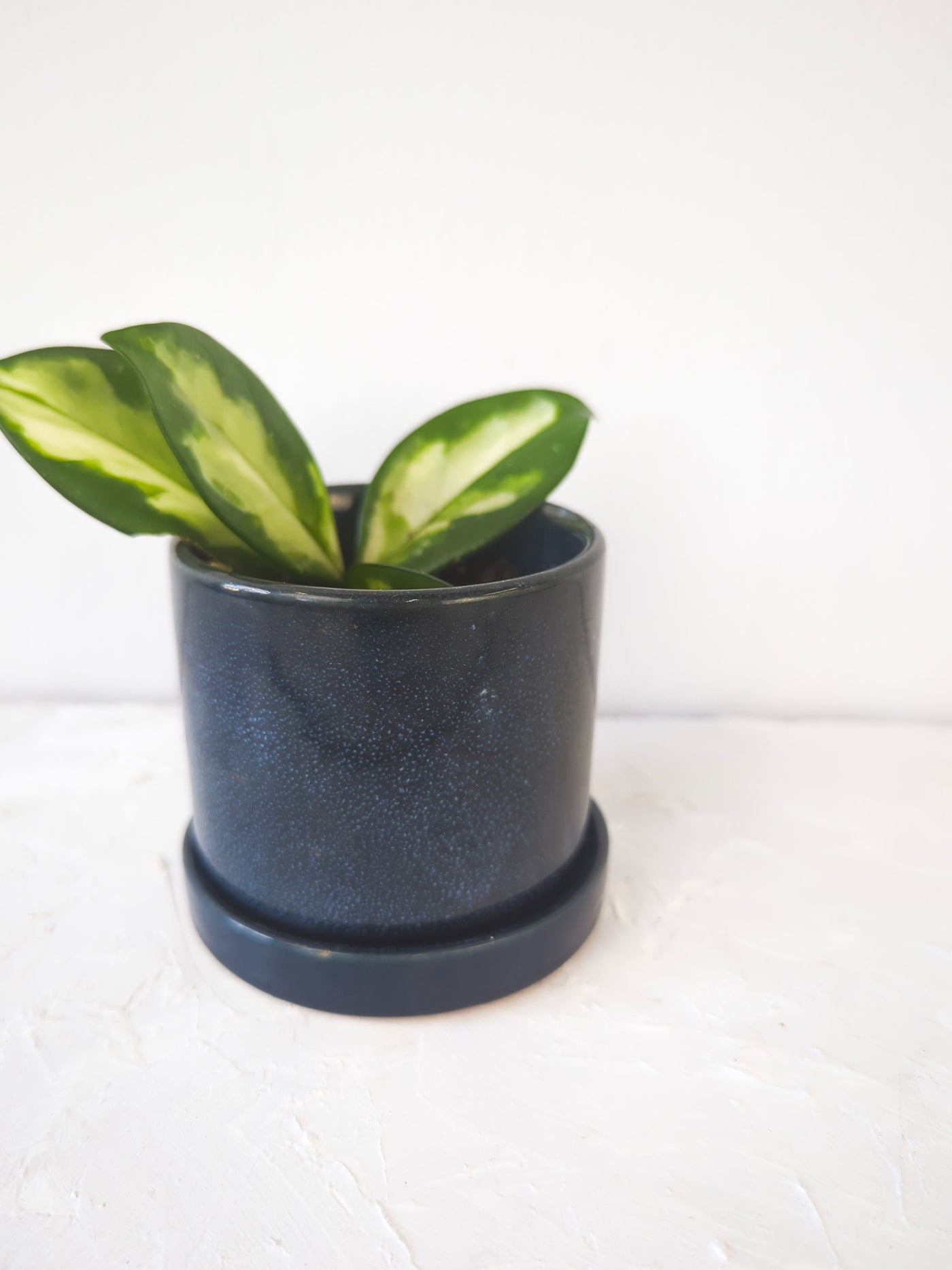 3" Ceramic Plant Pot and Saucer