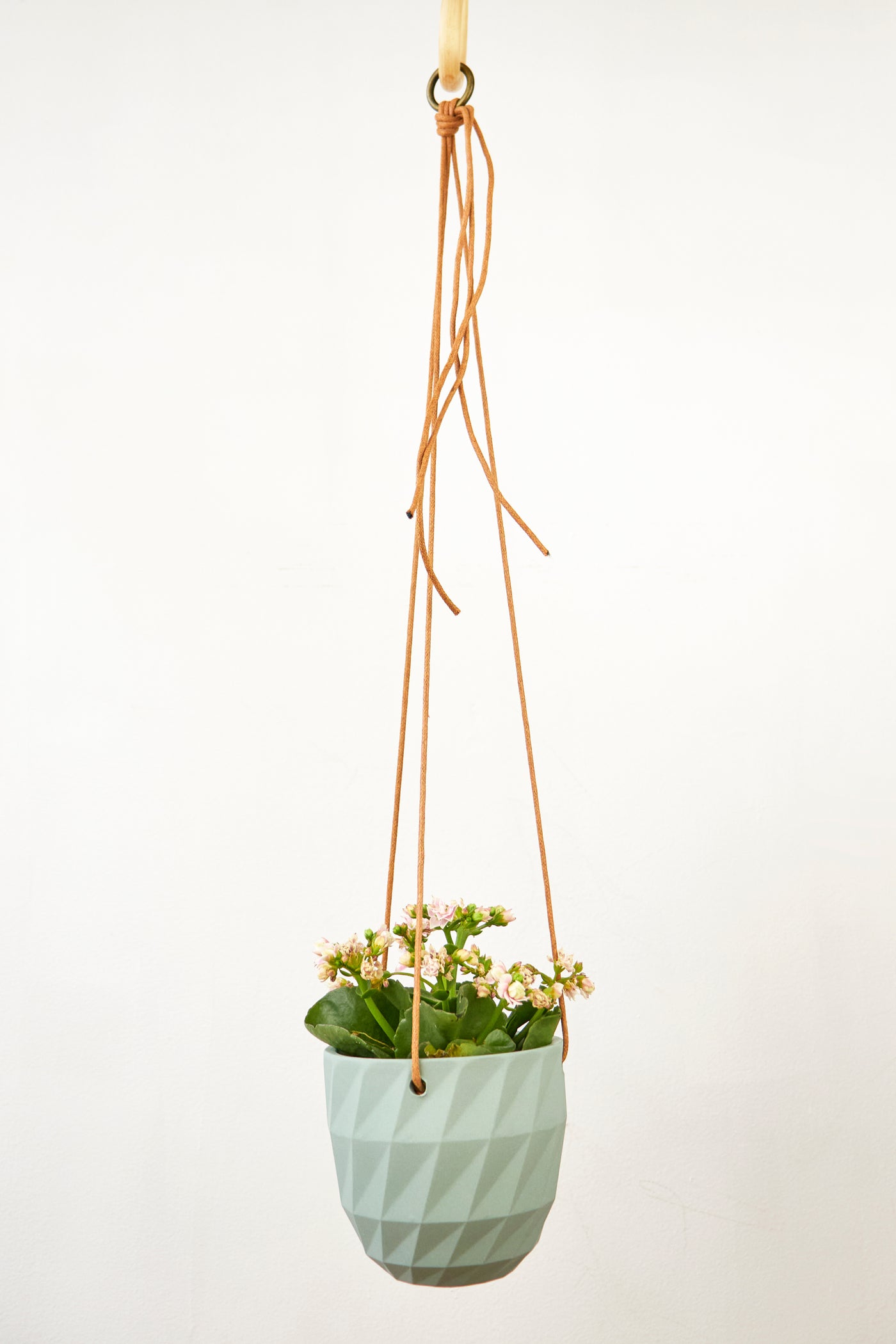 Virago Modern Hanging Planter- Grid