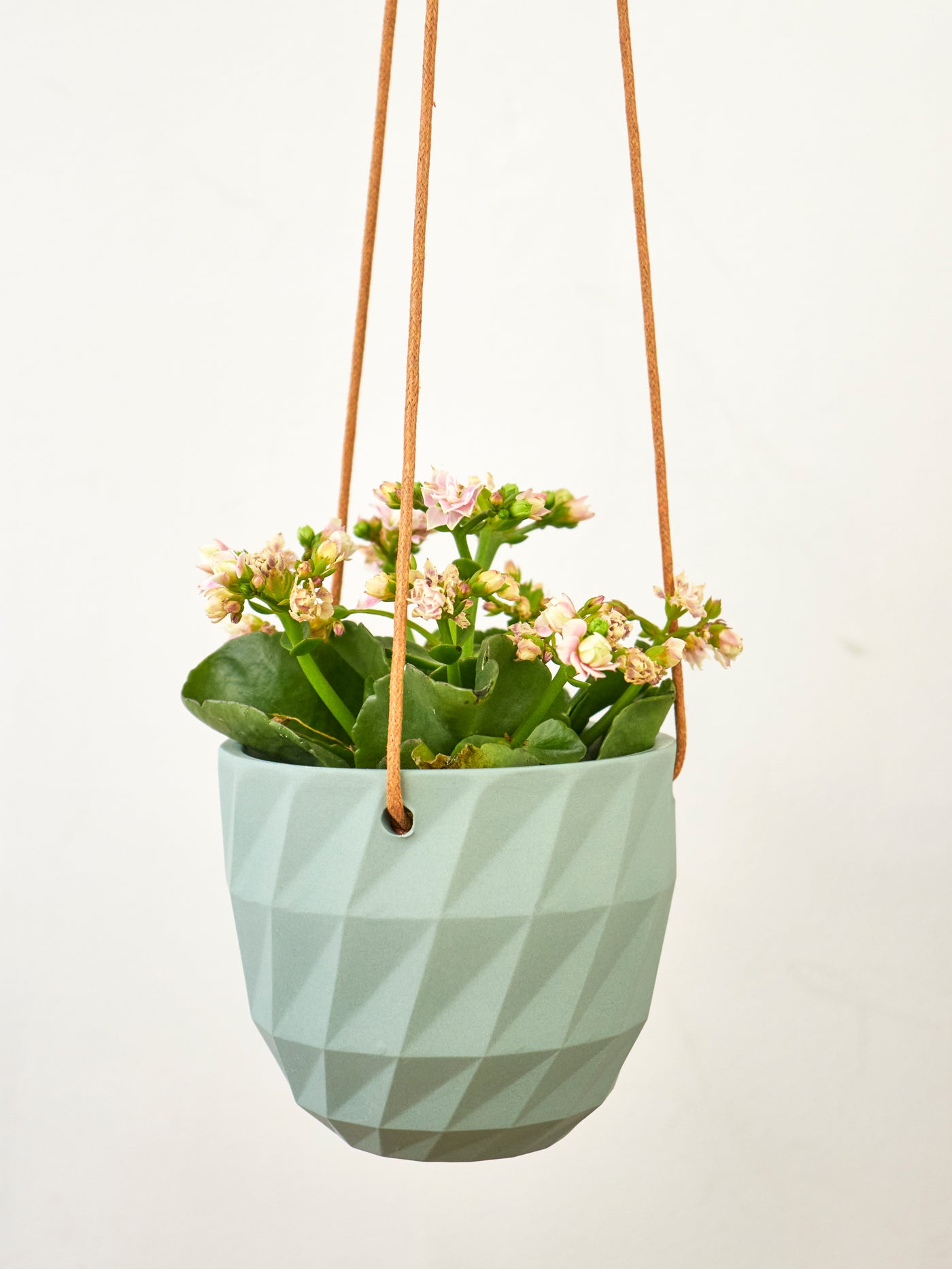 Virago Modern Hanging Planter- Grid