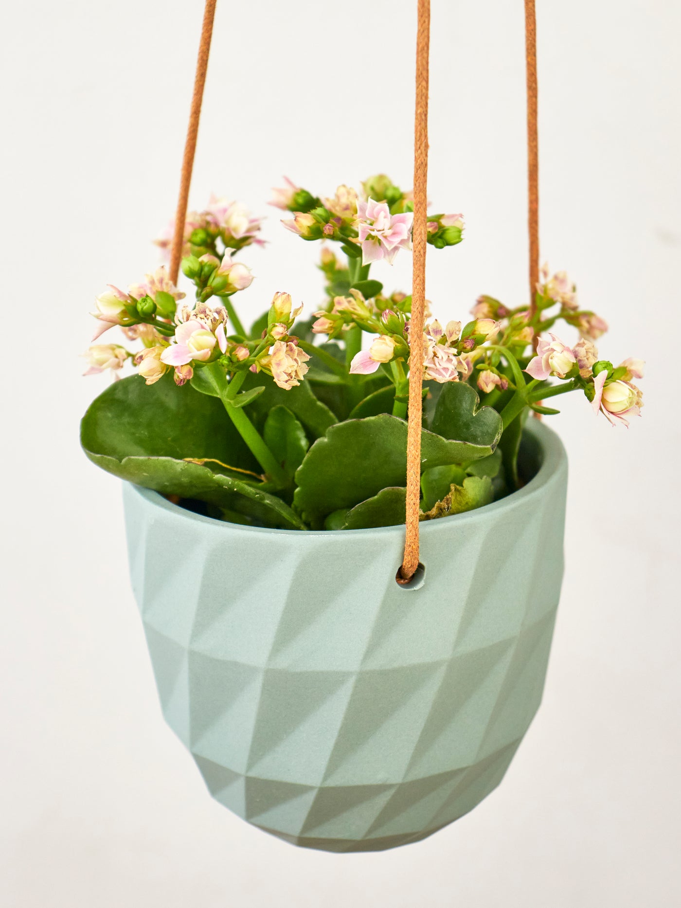 Virago Modern Hanging Planter- Grid