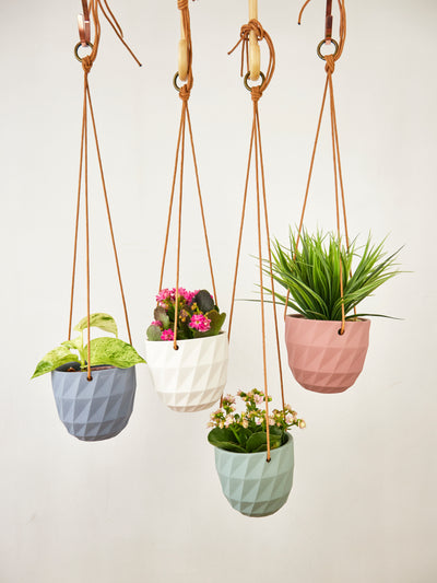 Virago Modern Hanging Planter- Grid