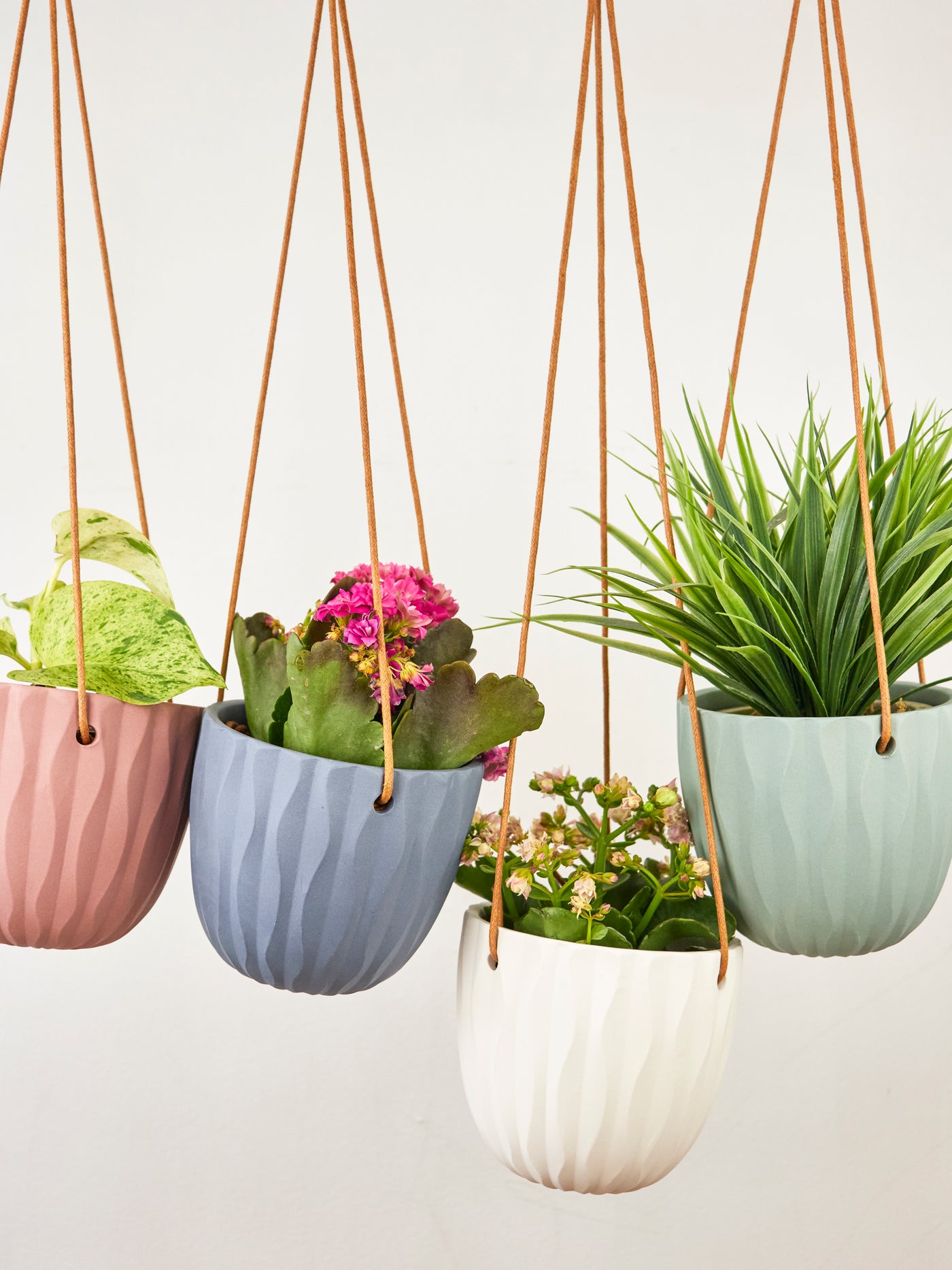 Virago Modern Hanging Planter- Waves