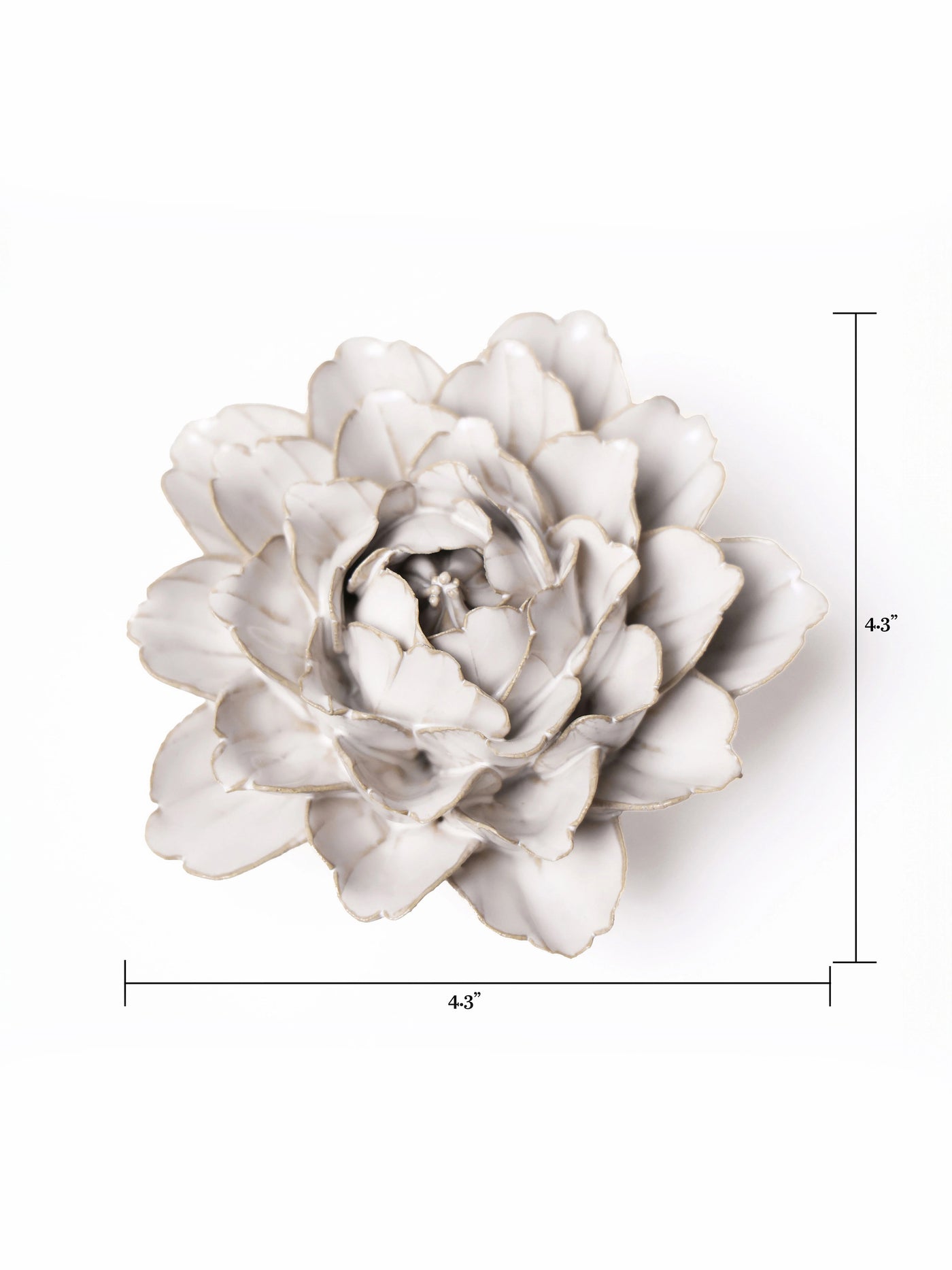 Ceramic Ivory Zinnia