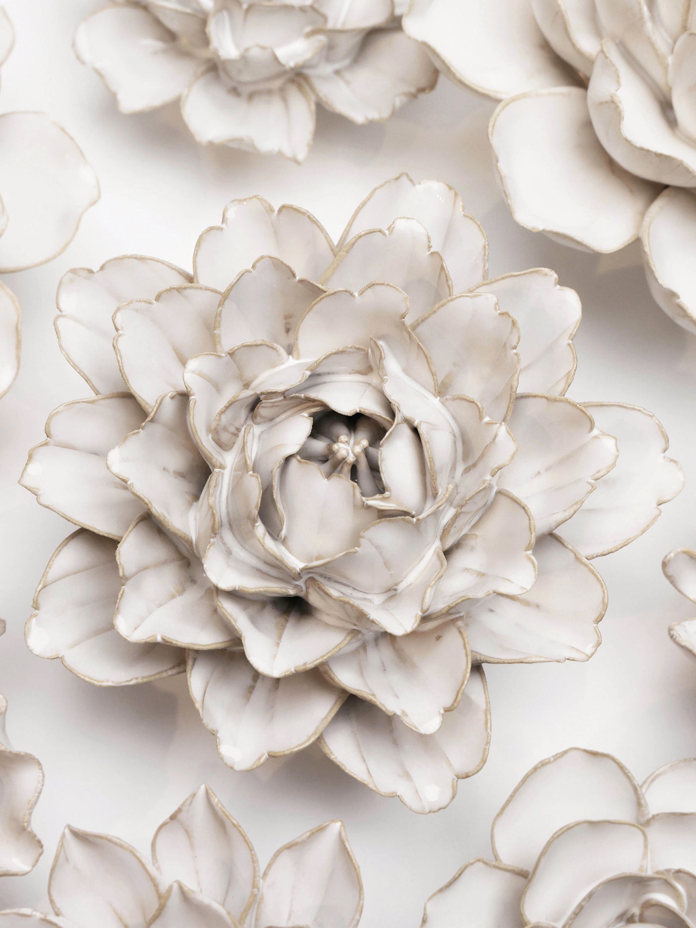 Ceramic Ivory Zinnia