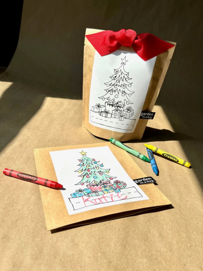 Kids Christmas Tree Grow Kit