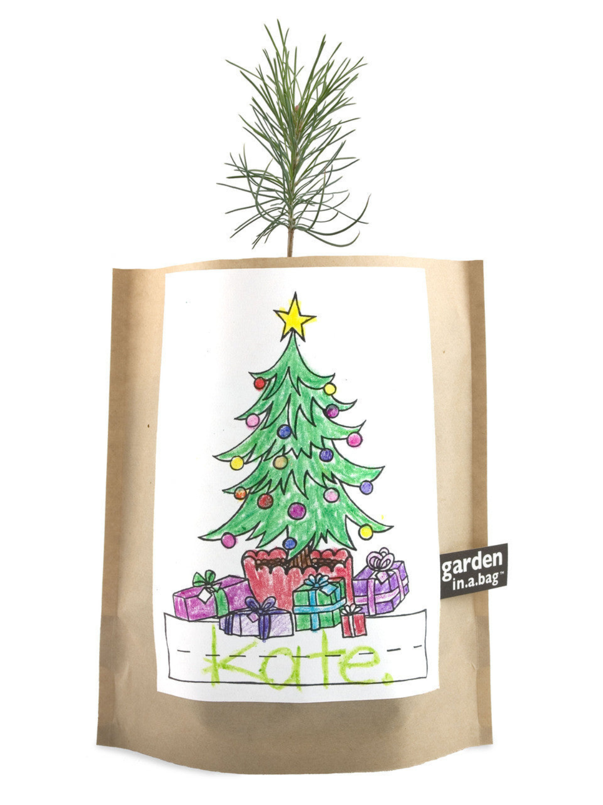 Kids Christmas Tree Grow Kit