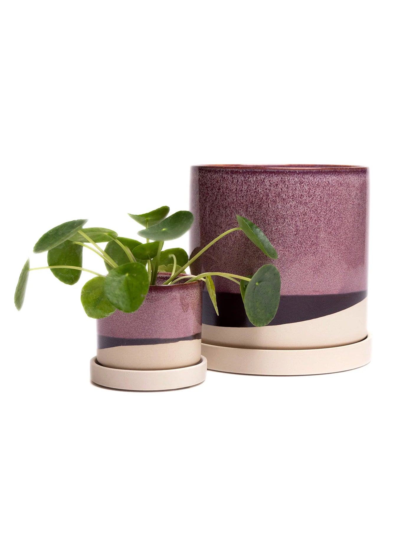 5" Ceramic Plant Pot and Saucer Set