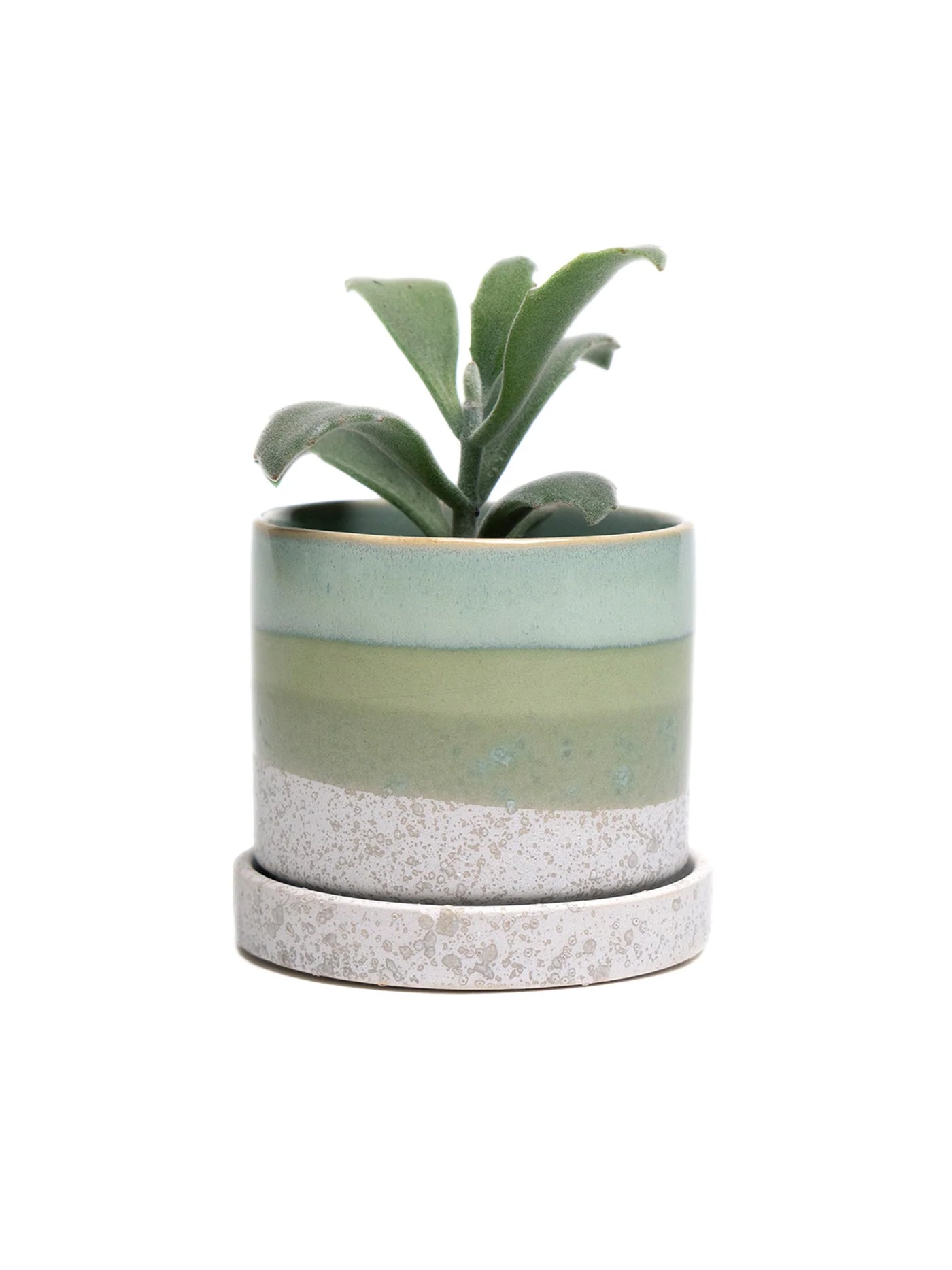 3" Ceramic Plant Pot and Saucer