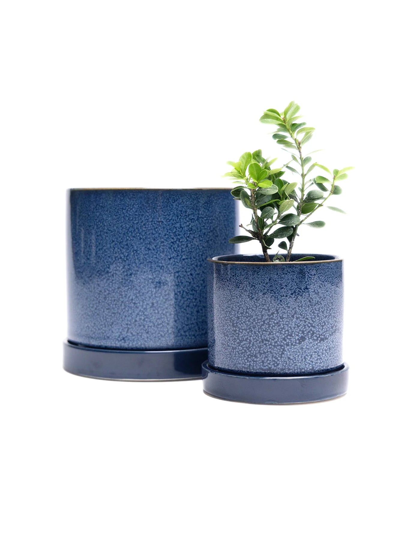 3" Ceramic Plant Pot and Saucer