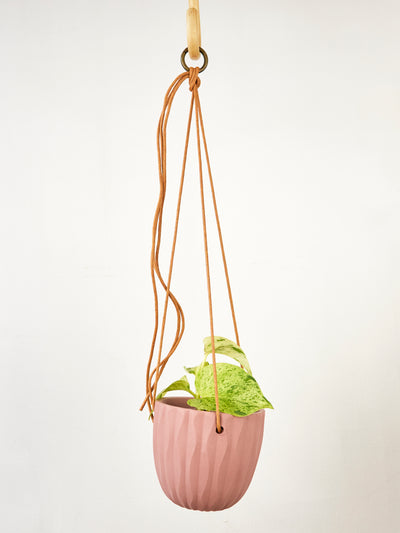 Virago Modern Hanging Planter- Waves