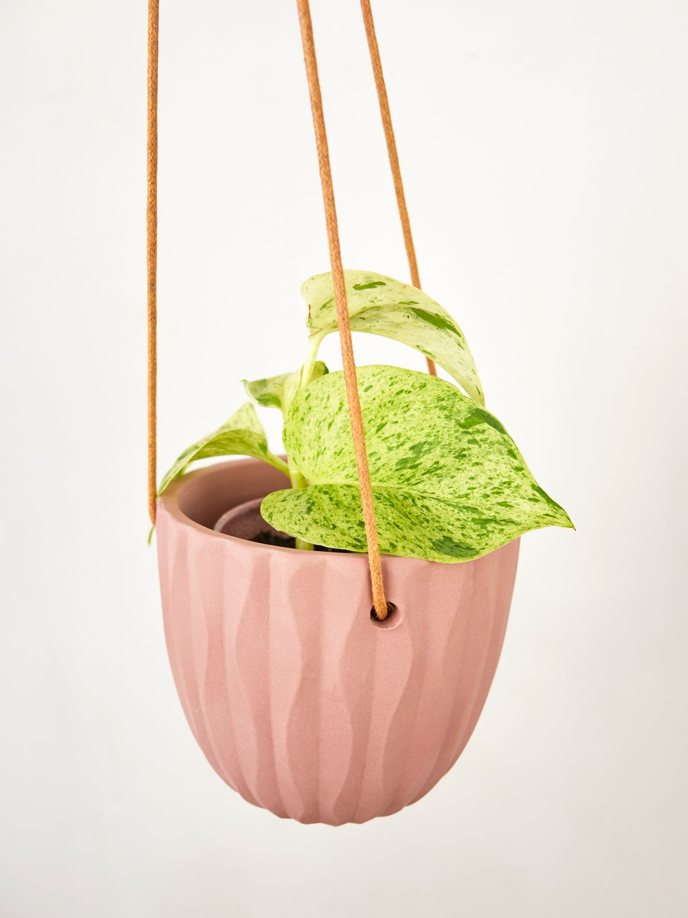 Virago Modern Hanging Planter- Waves