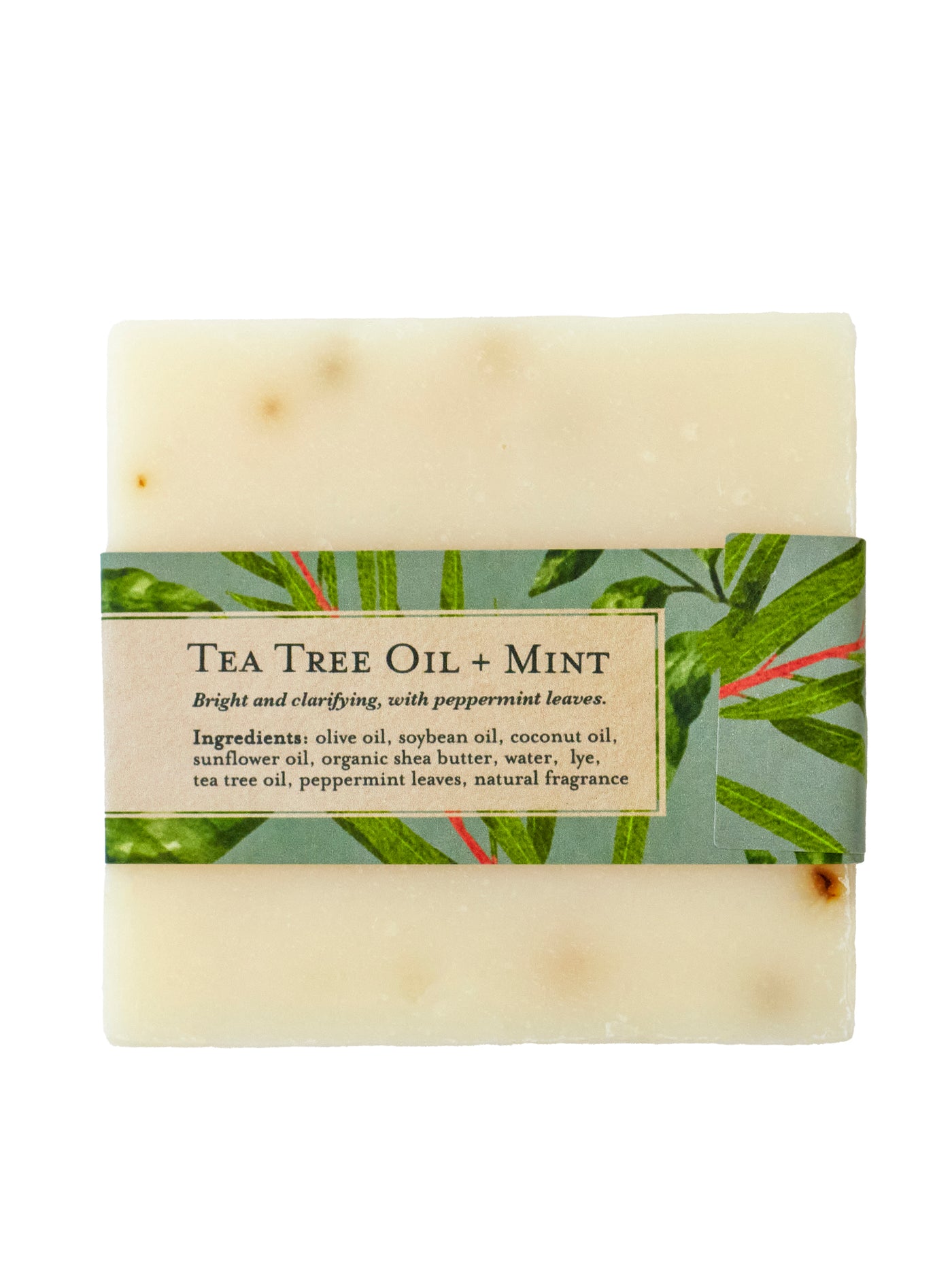 Tea Tree Mint Soap Scrub Bar