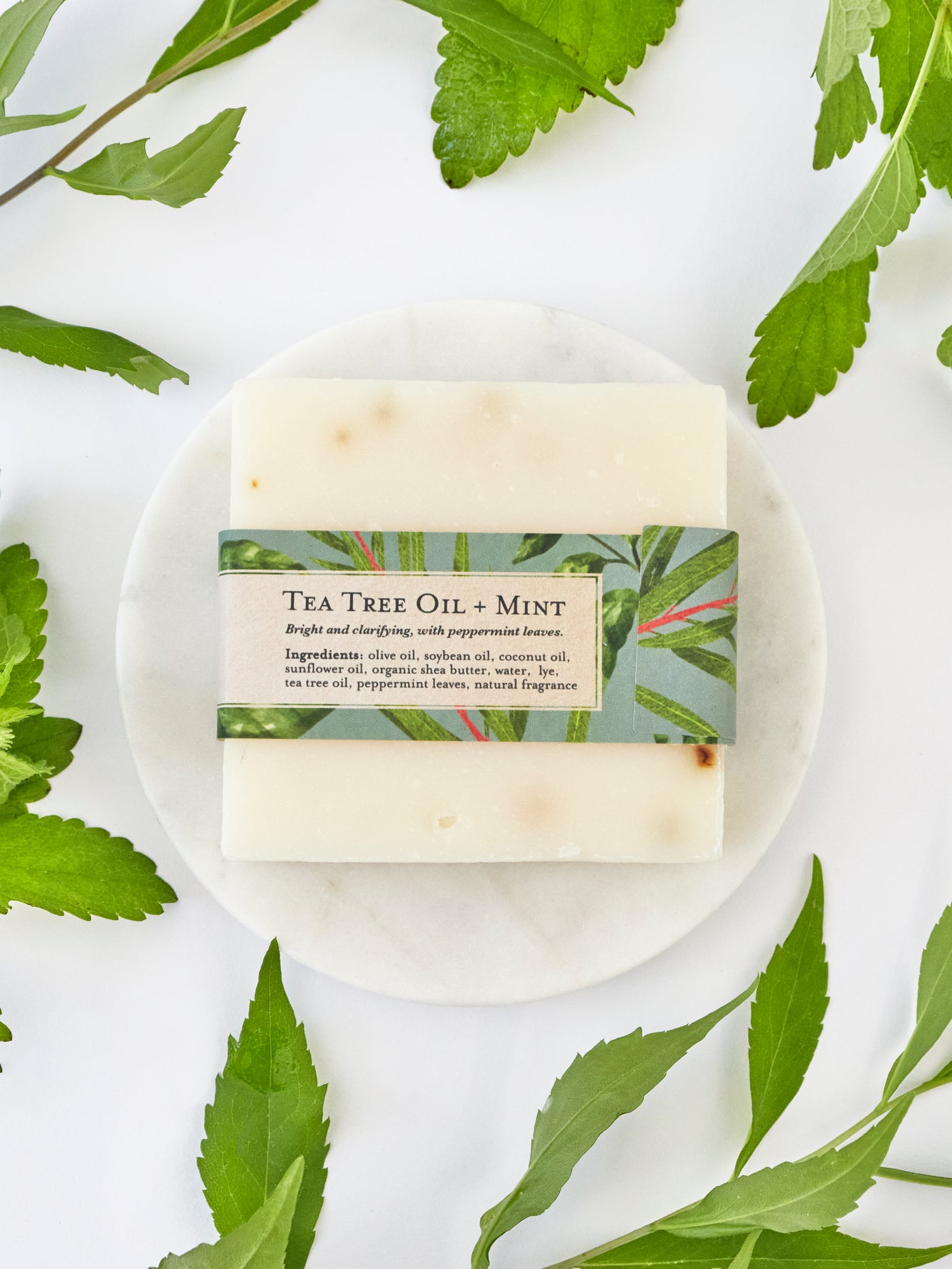 Tea Tree Mint Soap Scrub Bar