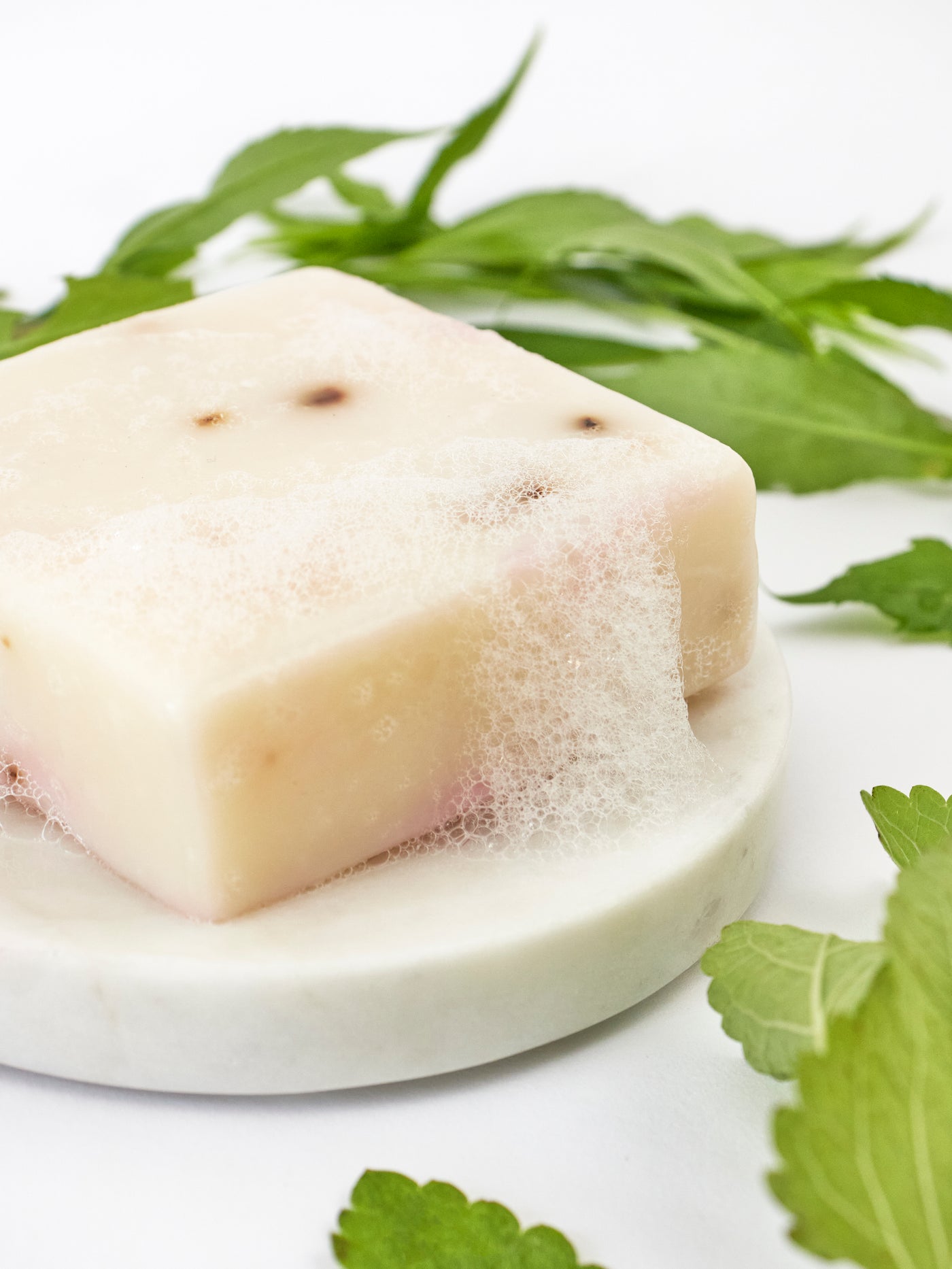 Tea Tree Mint Soap Scrub Bar