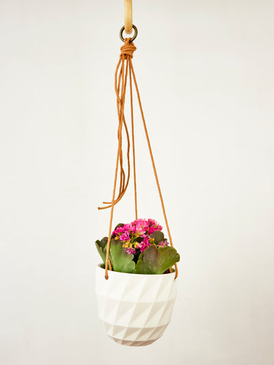 Virago Modern Hanging Planter- Grid