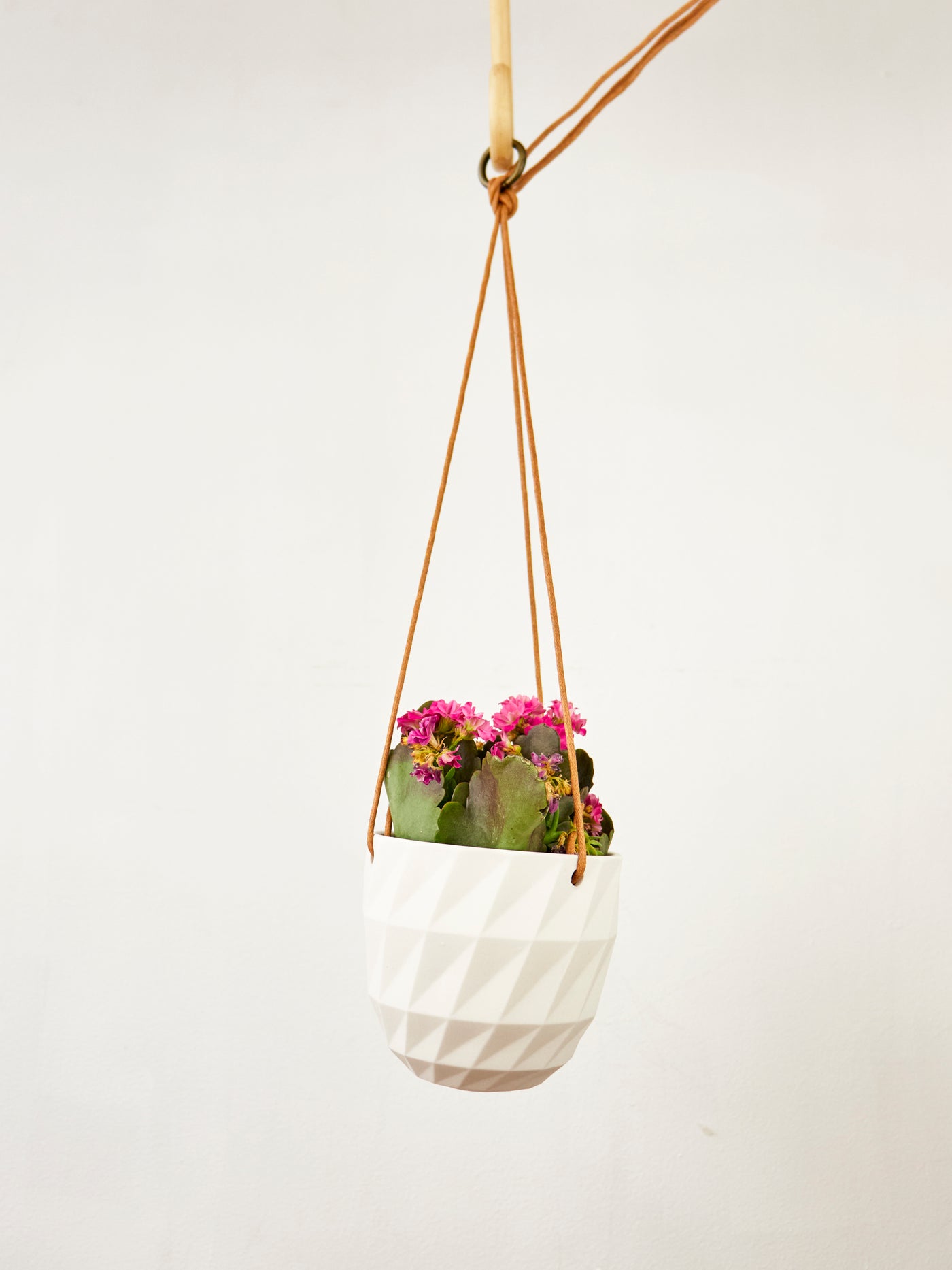 Virago Modern Hanging Planter- Grid