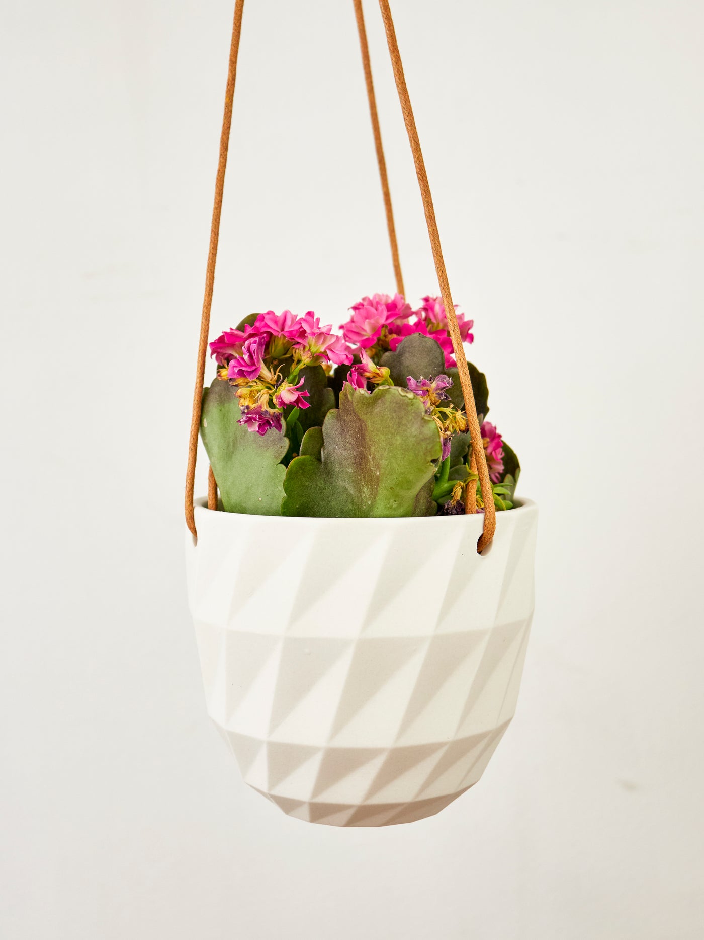 Virago Modern Hanging Planter- Grid