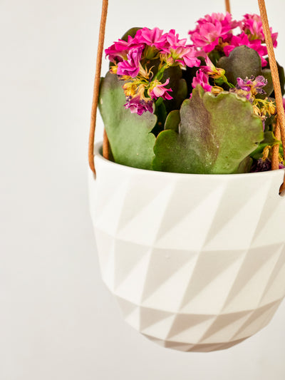 Virago Modern Hanging Planter- Grid