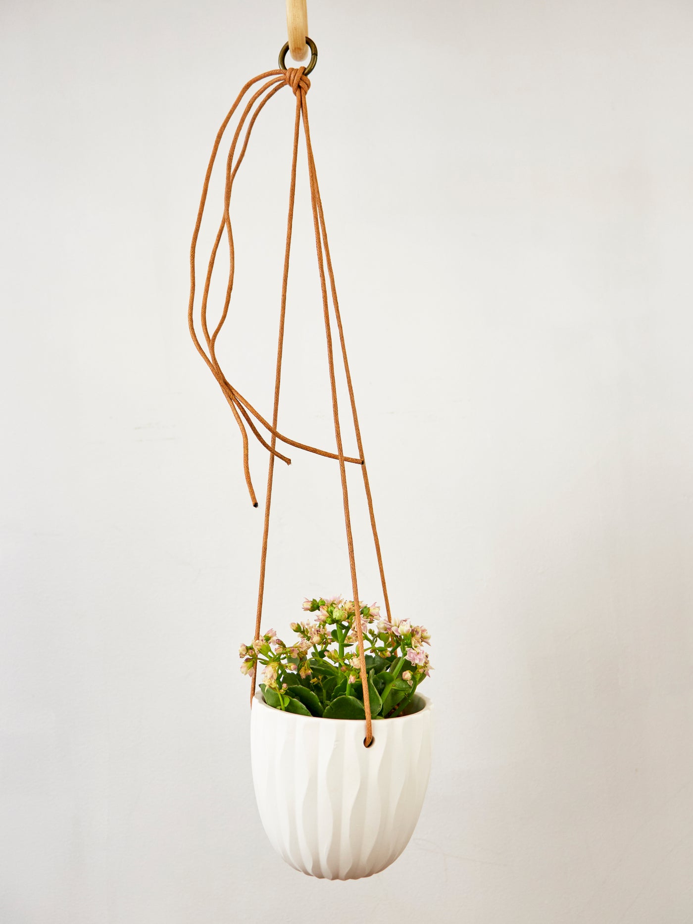 Virago Modern Hanging Planter- Waves