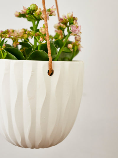 Virago Modern Hanging Planter- Waves