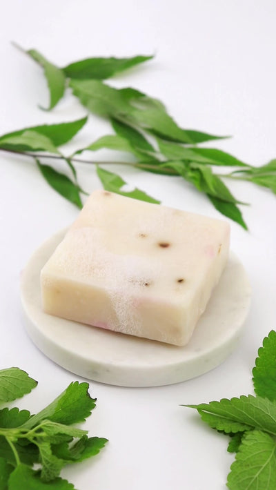 Tea Tree Mint Soap Scrub Bar